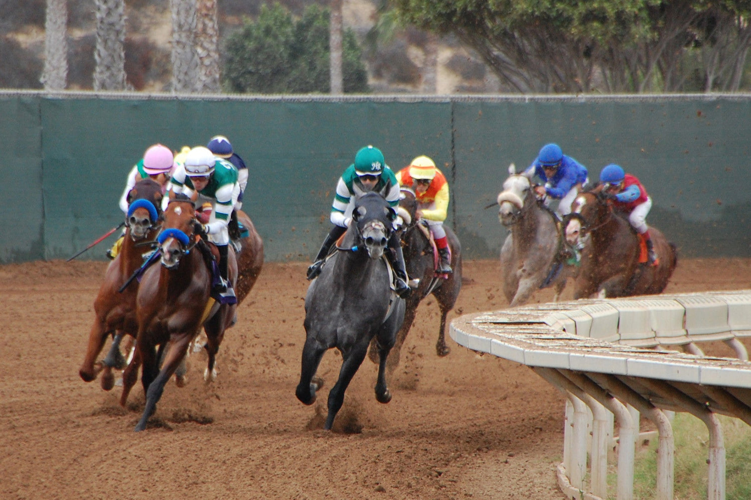 Tales from the Field: A Day at the Races
