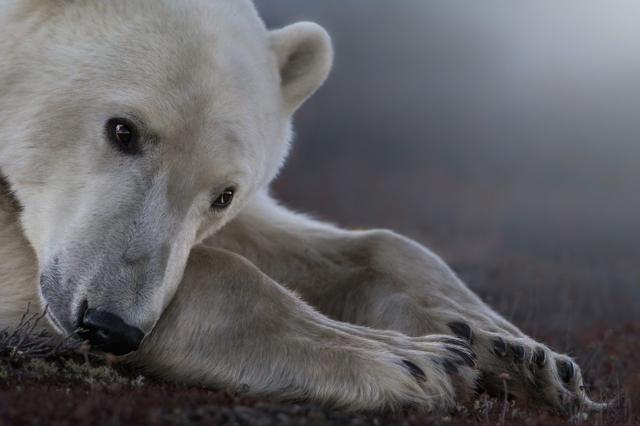 Interview with a photographer featuring: Dave Sanford