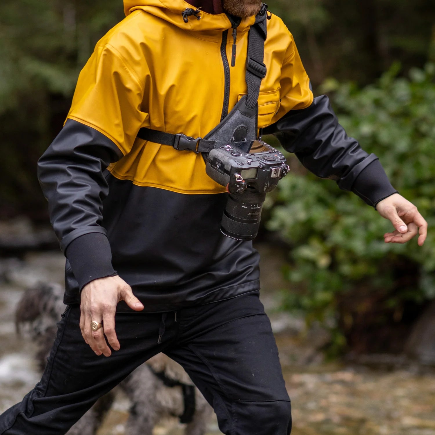 Gray Skout G2 - para cámara - arnés de estilo de honda