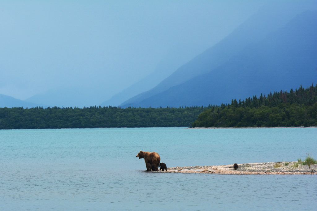 Les meilleures destinations en Amérique du Nord !