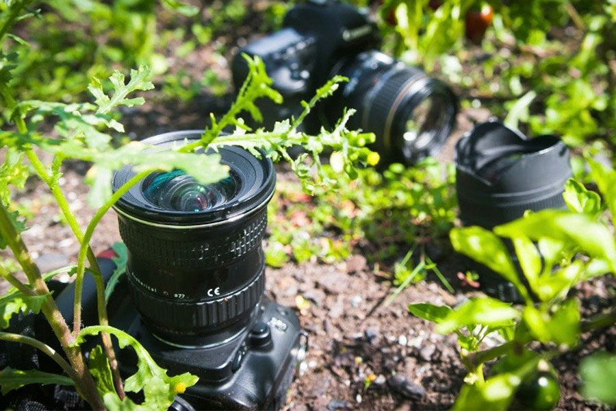 Les cinq meilleures façons d'améliorer vos compétences en photo grâce à Cotton