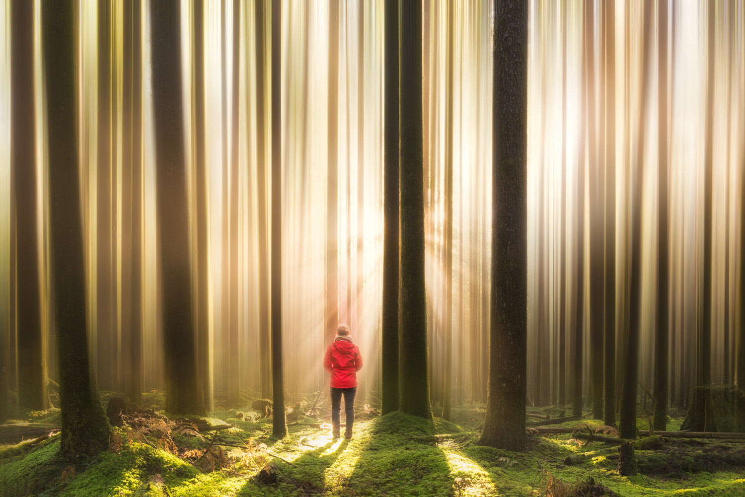 Entretien de Cotton avec un photographe : Vanexus Photography