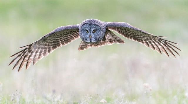 Entretien avec un photographe : Anthony Bucci