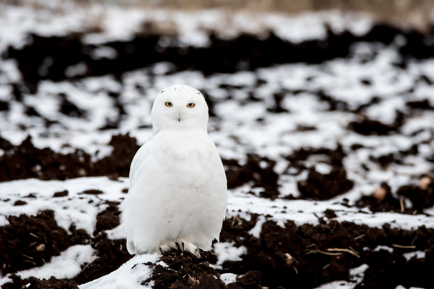 Entretien avec une photographe : Emily Fikkert