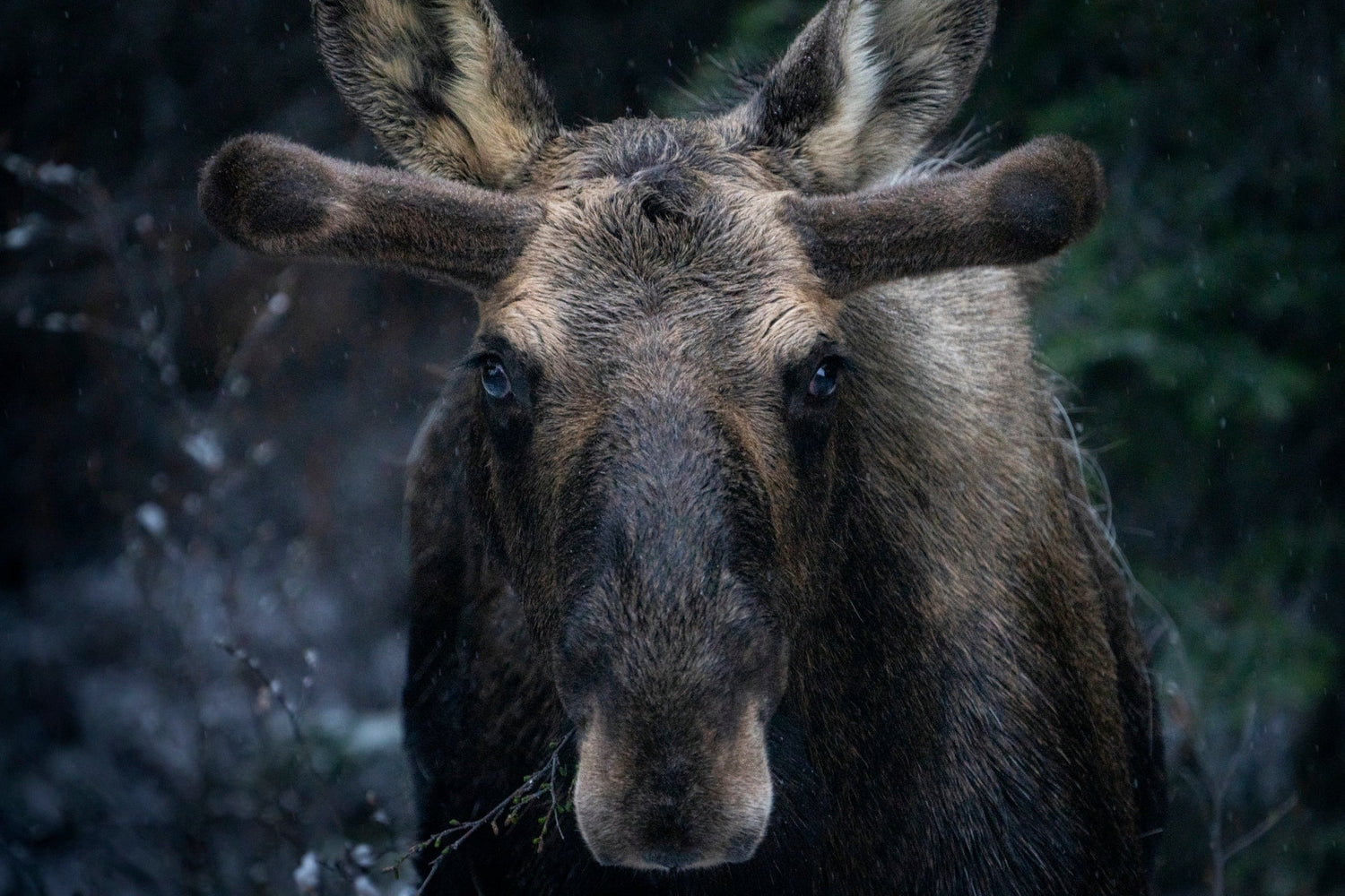 Entretien avec un photographe : David Wilder