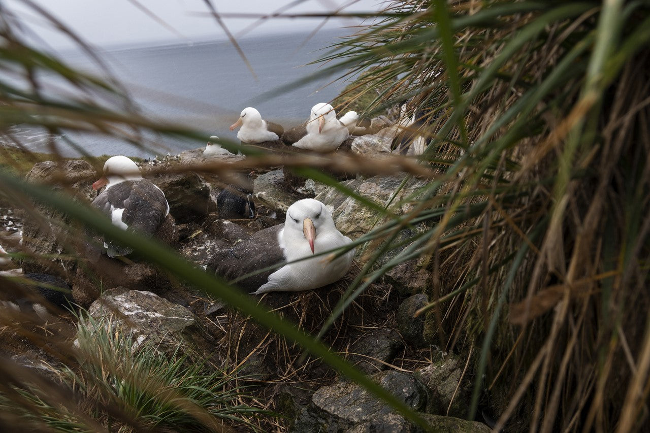 Entretien avec une photographe : Camille Seaman