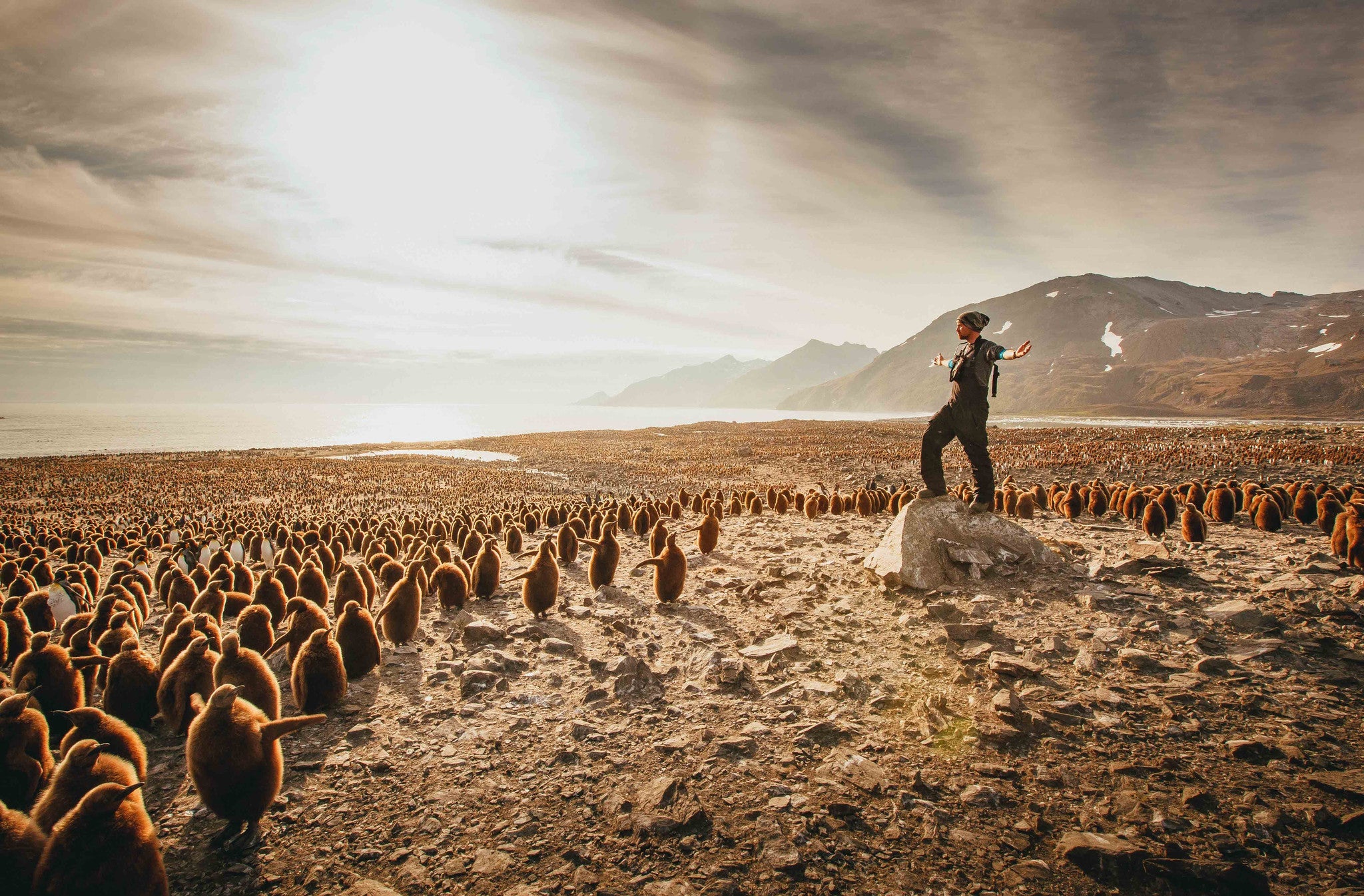 Entretien de Cotton avec un photographe : David Merron